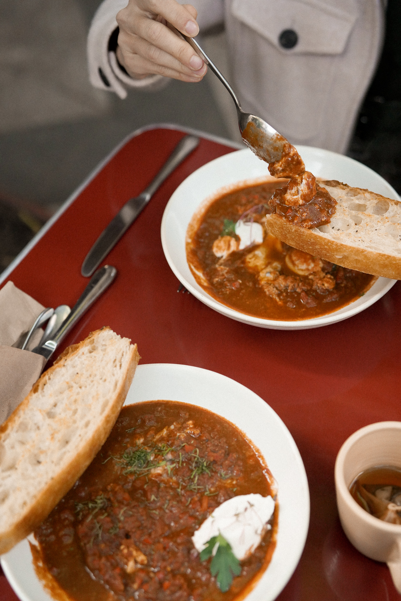 niddo-karen-drijanski-shakshuka-haus-guest