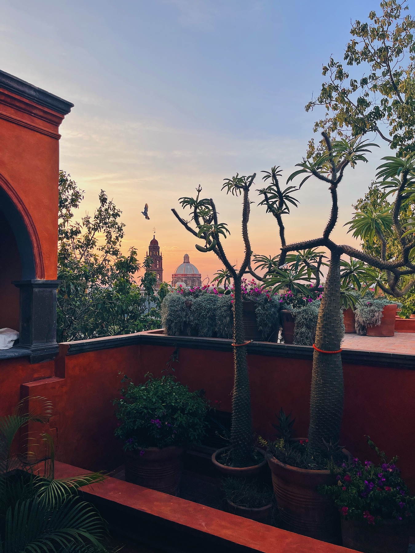 wu-haus-alison-san-miguel-de-allende-mexico-travel